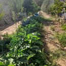 welcome To Wadi Rum For Free 的照片