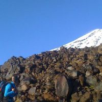 Bernardo Paul的照片