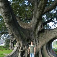 Jakob Hoenes的照片