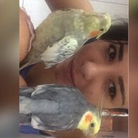 Larissa Moreira's Photo