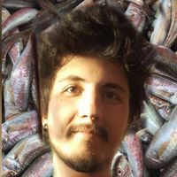 Derek Özipek's Photo