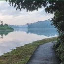 Long Walk And Deep Conversations Along Macritchie's picture