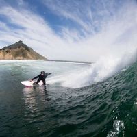 Koto Sandoval's Photo