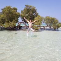 Amir Menesy的照片