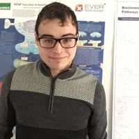 David Galipeau's Photo