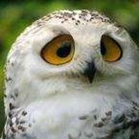 Jesús Velasco Gámez的照片