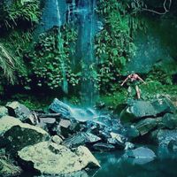 Mirza Bholah's Photo