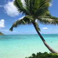 Charlie Ried's Photo