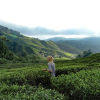 Dorine Dalmulder的照片