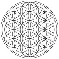 Brahmdev Singh的照片