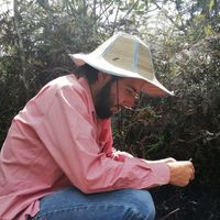 Daniel Grisales Betancur的照片