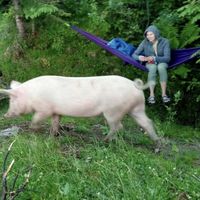 Le foto di Julia  Vorobyova
