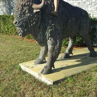 Matthew Uelmen's Photo