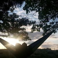 ED Hollowell's Photo