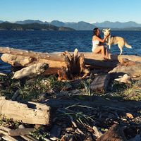 Breagha Zakaib的照片