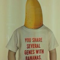 Lùyìk Mudita的照片