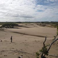 Renzo Lahura的照片