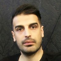 reza bijani的照片