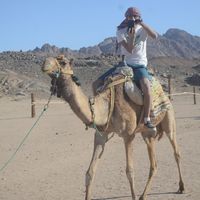 Salah El-Dien的照片