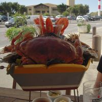 Sylvain BRENIER's Photo