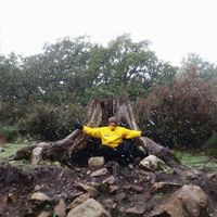 Fotos de Adel Moknessi