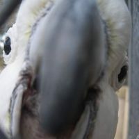 Kevin B. Flynn's Photo