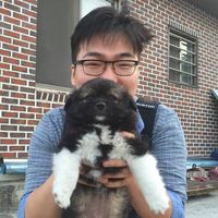 Le foto di Jaeung Shin