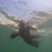 Nicolas Ulloa-Barria's Photo