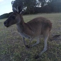 Alan Castaneda's Photo