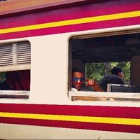 João Gonzaga's Photo