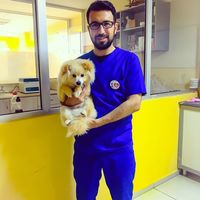 Tayfun Şimşek's Photo