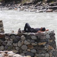 Devendra Rathore's Photo