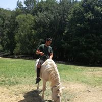 Milad Yalda (Juan)的照片