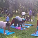 Yoga at the Park!的照片