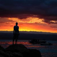 Vid Marjanovic的照片