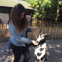 Angelina Bukreeva的照片