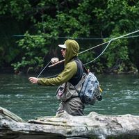 Fotos von Cam Gordon