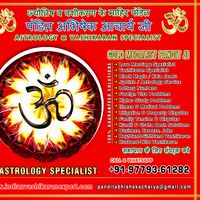 Le foto di Abhishek Acharya