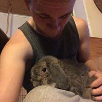 Fotos de Adam Pritchard