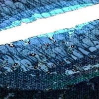 Genaro Matias's Photo