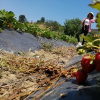 dilan önder的照片