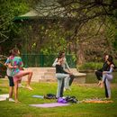 YogayBienEstar En El Parque 's picture