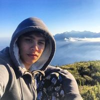 João  Vidal的照片