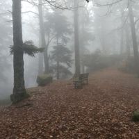 Fotos de Edith WOLFERSPERGER