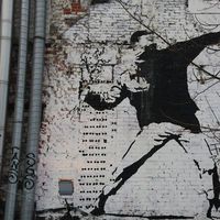 valter vitello的照片