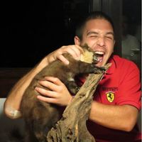 Radman Savo的照片