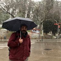 Mauro Mireles的照片