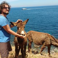 paolo tasca的照片