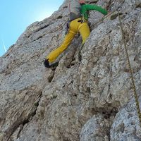 Photos de Sara Ušlakar