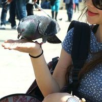 Fotos de Irini Karabatzaki